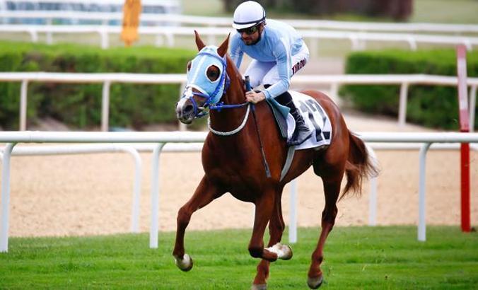 At yarışlarında 59'uncu TBMM Koşusu'nun galibi Hızlı Ahmet oldu