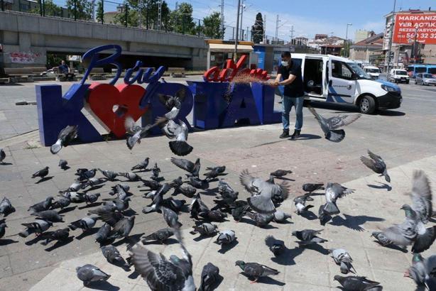 Kartal'da tam kapanma sürecinde sokak hayvanları unutulmadı