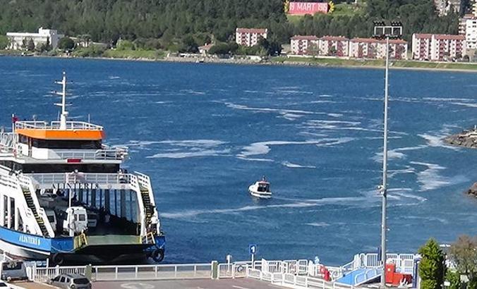 Rüzgar durdu, Çanakkale Boğazı'nı yine deniz salyası kapladı