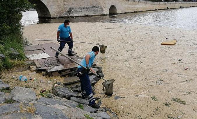 Küçükçekmece Gölü'ndeki deniz salyası temizleniyor