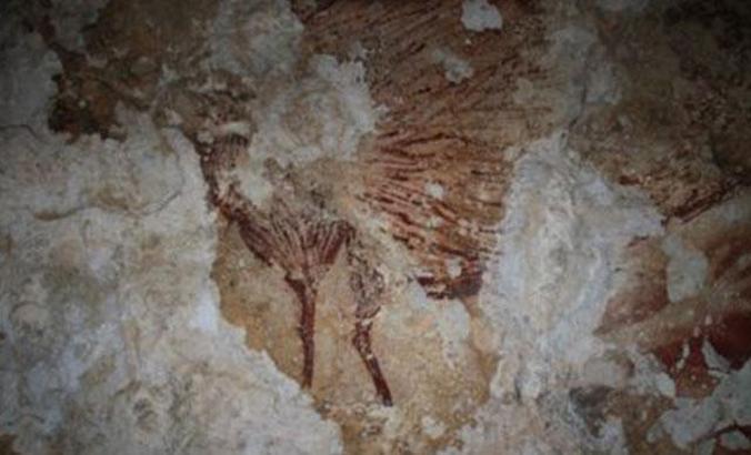 Endonezya’da dünyanın en eski çizilen yaban domuzu resmi iklim değişikliği kurbanı