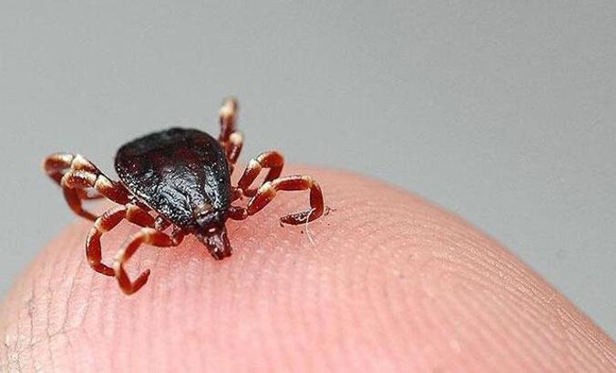 Yozgat'ta, KKKA tedavisi gören çiftçi kurtarılamadı