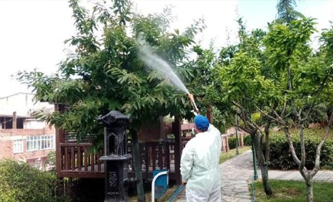 Bağcılar doğaya zarar veren böceklere karşı korunuyor
