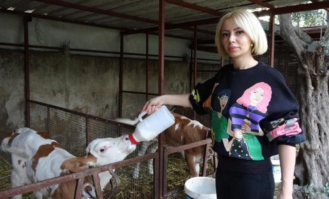 Spikerliği bıraktı, 3 yıl önce besi çiftliği kurup süt üretimine başladı