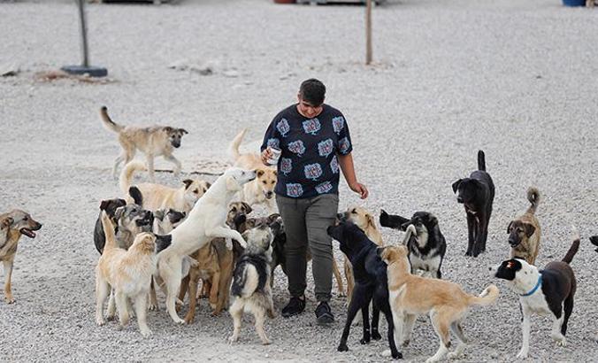 Liseli Berzan, sokak köpeklerine yuva kurdu