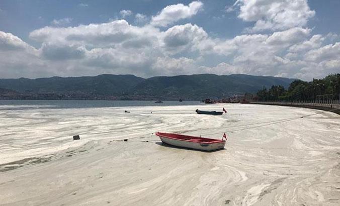 Gebze Teknik Üniversitesi'nden müsilaj için 'çevresel koşul' araştırması
