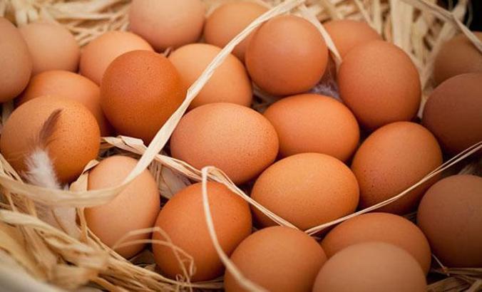 Organik yumurtayı ayırt etme yolları