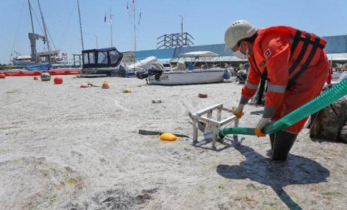 Çevre ve Şehircilik Bakanlığı ilk adımı attı; deniz salyası temizliği başladı