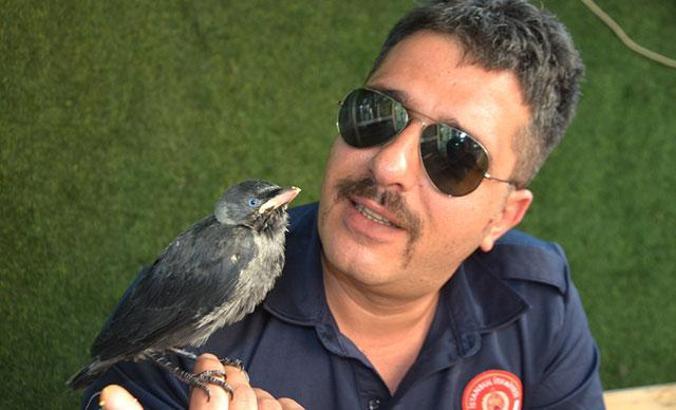 Yavru kuzgun kendisini kurtaran itfaiyeciden ayrılmıyor