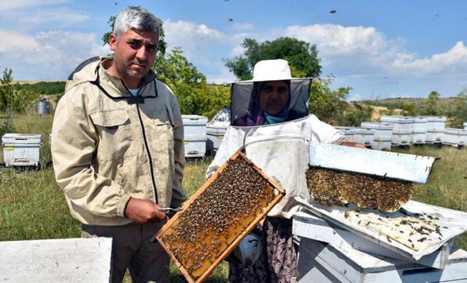 Karaçalı balı için Bulgaristan sınırındaki meralara çıktılar