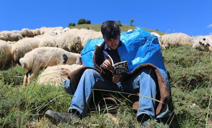Hollanda Büyükelçiliği, çobanlık yaparak Tilburg Üniversitesi'ne hazırlanan Mahir için devrede