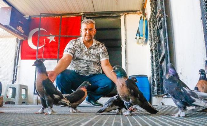 Güvercinleri için 40 bin TL'ye oda yaptırdı; yemlerine yılda 20 bin TL harcıyor