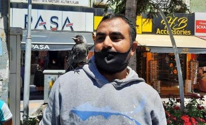 4 aydır beslediği karga yavrusu omzundan inmiyor