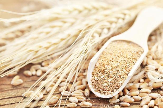 Türkiye’nin ilk tescilli siyez buğdayları üretilecek