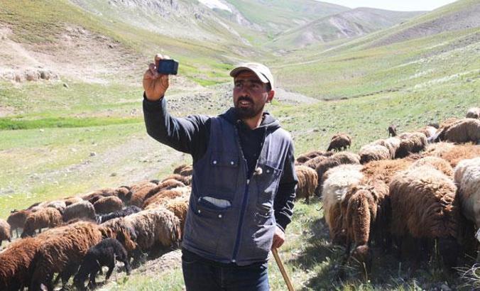 Fenomen çobanın göç yolculuğu