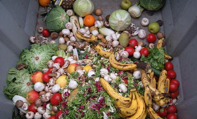 Restorana giren sebzenin yarısı çöpe gidiyor