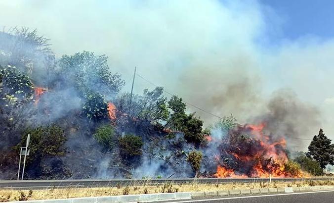 Ula'da orman yangını; 2 ev tahliye edildi