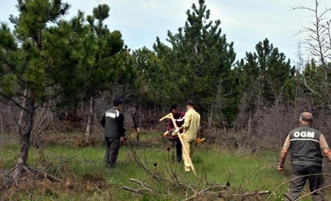 Türkiye ve Bulgaristan, sınırda kuruyan ormanlık alanları ağaçlandırıyor