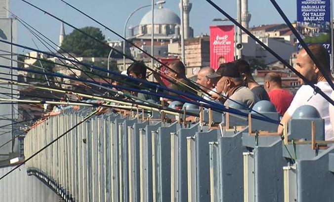 İstanbul Boğazı ve Galata Köprüsü olta balıkçıların akınına uğradı