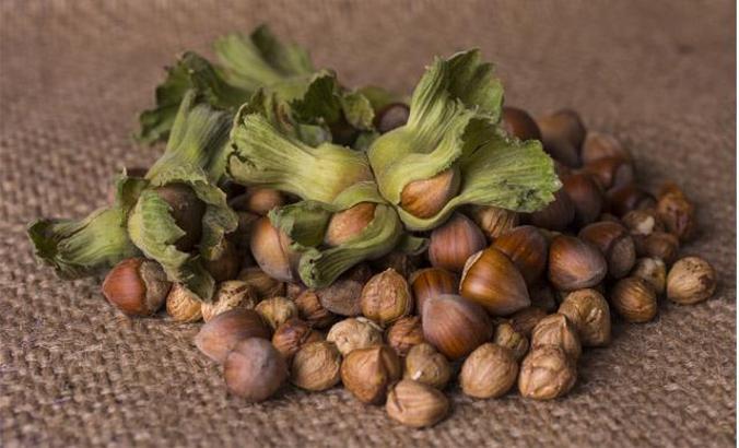 Değerli Tarım Programı ile 40 bin fındık çiftçisine ulaşıldı