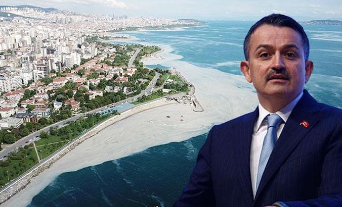 Marmara Denizi'nden çıkan balık yenir mi? Bakan Pakdemirli yanıtladı