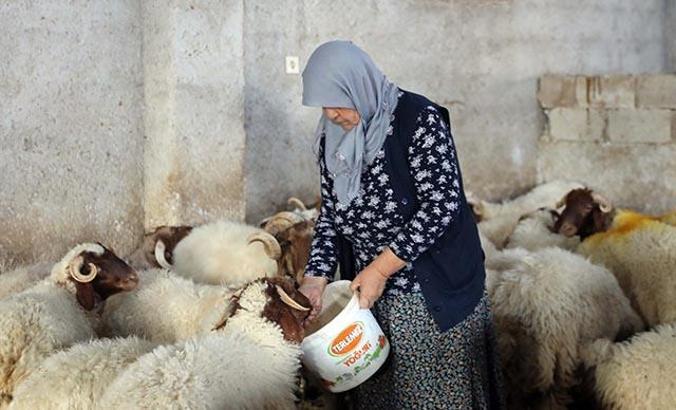 'Kadınsın yapamazsın' dediler, kendi çiftliğini kurdu
