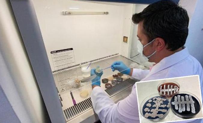 Türk bilim adamları, 6 ülkede 60 yeni tür bakteri keşfetti