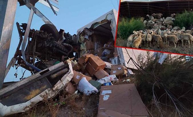 Kargo kamyonu, kurbanlık taşınan TIR’a çarptı: 1 ölü, 2 yaralı