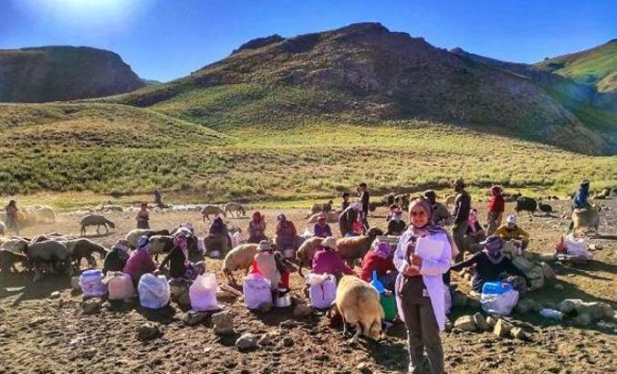 2 bin 700 metre yükseklikte internet erişimi yakalayıp aşı yaptı