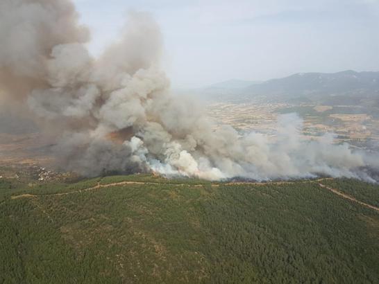 OGM Genel Müdürü Karacabey: Orman içinde mangal yakmayın