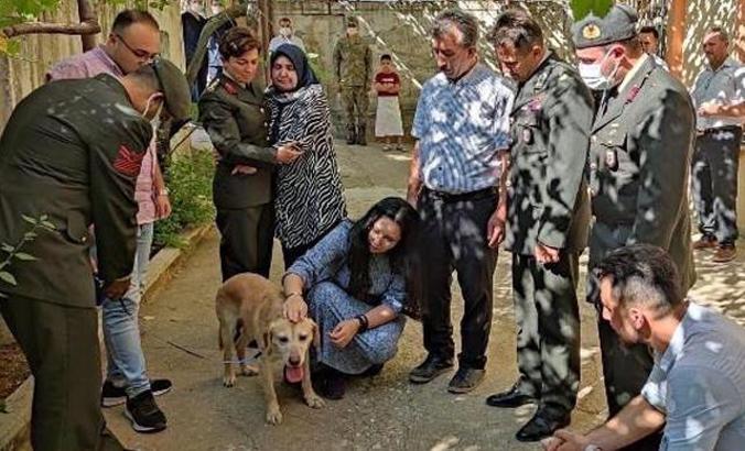 Şehit onbaşının 'gazi köpeği' ailesine sahiplendirildi