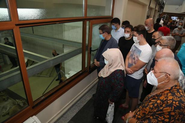 Eyüpsultan'da şehitler için kurban kesildi