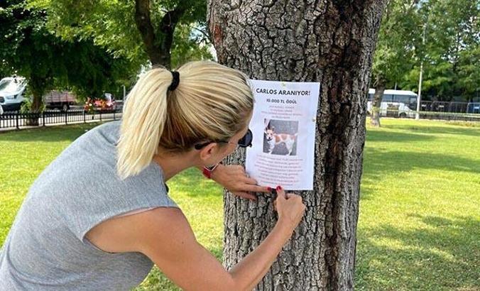 Kayıp köpeğini bulana 10 bin TL ödül verecek