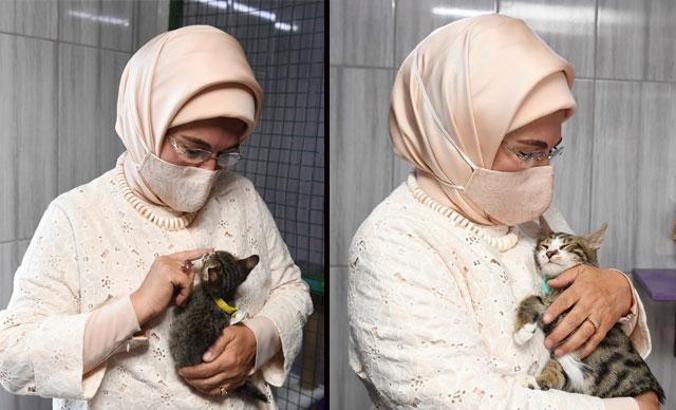 Emine Erdoğan: Hayvanlara yönelik suçlar oluşmadan çözüm üretmeliyiz