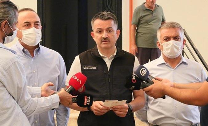 Bakan Pakdemirli: 6 bin dekar tarım arazisi yandı