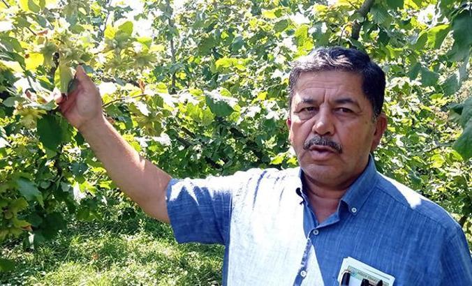 Düzce'ye gelen fındık işçileri koronavirüse karşı aşılanacak