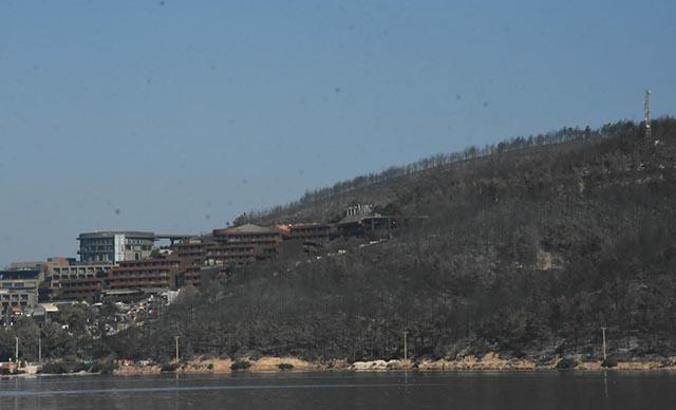 Milas ve Bodrum'daki orman yangını kontrol altında; yaklaşık 80 hektar alan zarar gördü