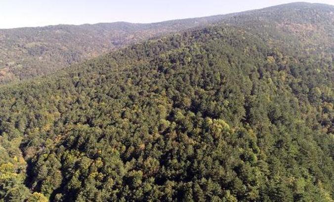 Valiliklerden peş peşe flaş kararlar! Girişler yasaklandı