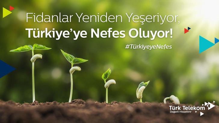 Türk Telekom’dan yangın bölgesine 100 bin fidan bağışı