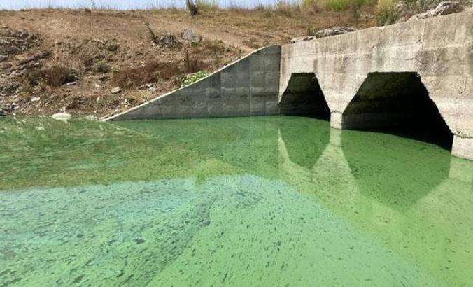 Sazlıdere Barajı'nın yeşile dönen rengi tedirgin etti