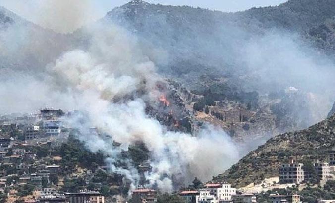 Hatay'da orman yangını