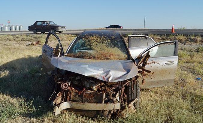 Otomobil, koyun sürüsüne daldı; Çoban öldü, 2 kişi yaralandı