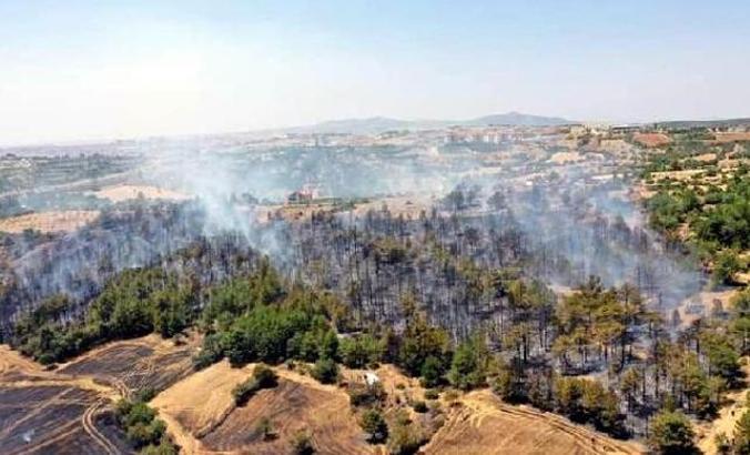 Uşak'ta 2 noktada orman yangını; 8 hektar alan yandı