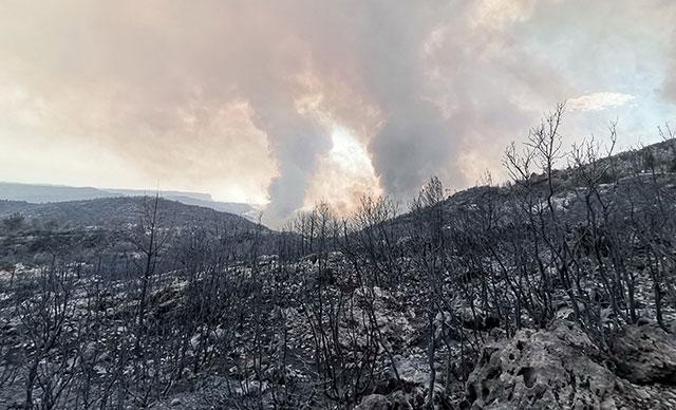 Manavgat yangınıyla ilgili 1 tutuklama