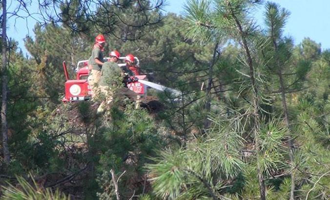 Tavşanlı'daki orman yangını erken müdahaleyle söndürüldü