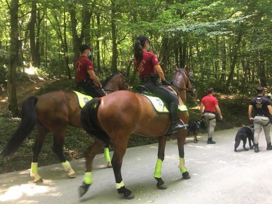 Kemerburgaz ormanlarına drone ve atlı polislerle denetim