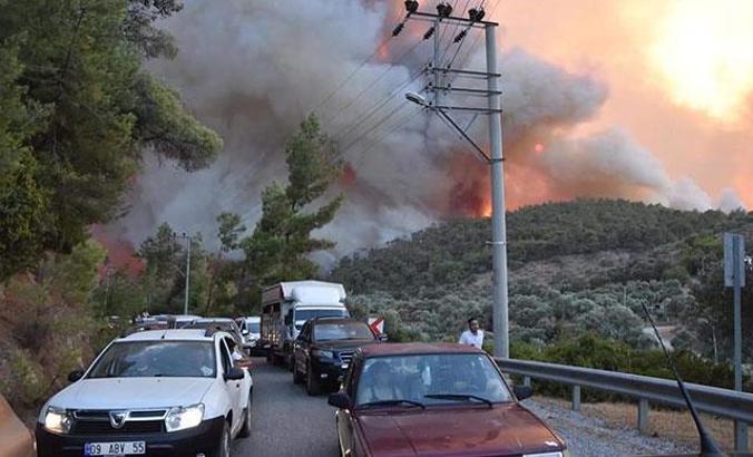 Muğla’da zeytinlik ve ormanlık alandaki yangınlara 6 tutuklama