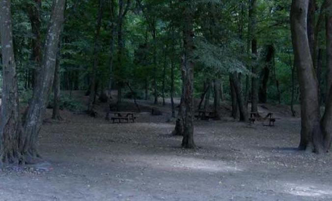 Uyarılar karşılık buldu; Belgrad Ormanı boş kaldı