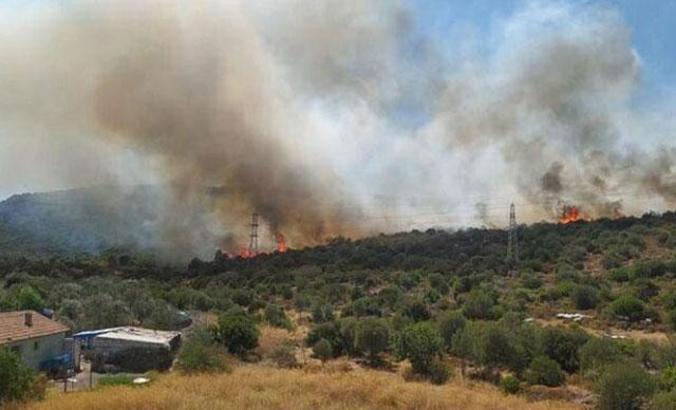 Urla'da makilik ve bozuk orman alanında yangın