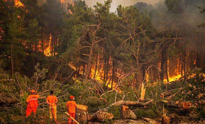 Ege ve Antalya, yangın riskinde 'turuncu' kategoride